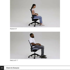 Steelcase Series 1 Ergonomic Office Chair, Carpet Floors, Licorice