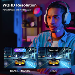 SANSUI 24 Inch Curved 160Hz Gaming Monitor,1500R Curved Gaming Monitor