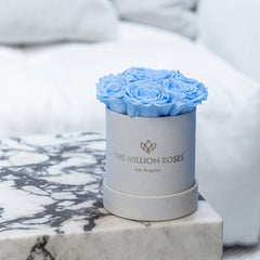 Essence Beige Suede Box | Light Blue Roses