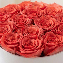 Classic White Box | Coral Roses