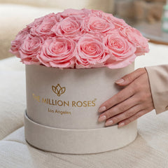 Classic Beige Suede Dome Box | Light Pink Roses