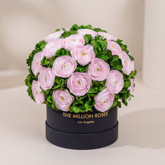 Classic Black Box | Light Pink Persian Buttercups & Green Hydrangeas