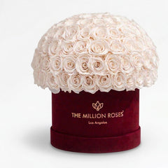 Supreme Bordeaux Suede Superdome Box | White Roses