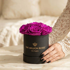 Essence Black Box | Bright Purple Roses
