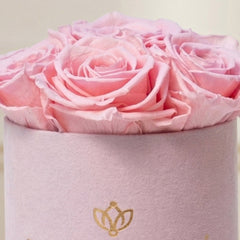 Essence Light Pink Suede Box | Light Pink Roses