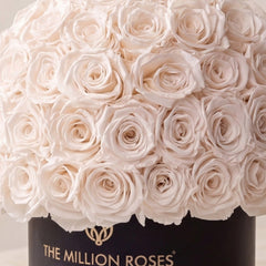Classic Black Superdome Box | White Roses
