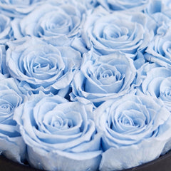 Classic Black Box | Light Blue Roses