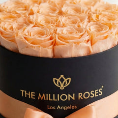 Classic Black Box | Peach Roses