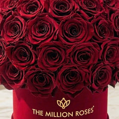 Classic Bordeaux Suede Superdome Box | Burgundy Roses