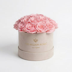 Classic Beige Suede Dome Box | Light Pink Roses