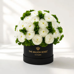 Classic Black Box | White Persian Buttercups & Green Hydrangeas