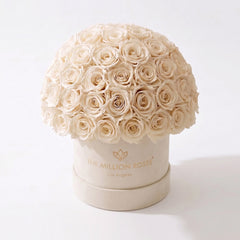 Classic Beige Suede Superdome Box | White Roses