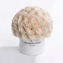 Classic White Superdome Box | White Roses