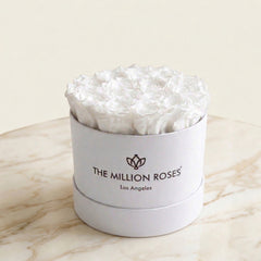 Classic White Box | White Roses