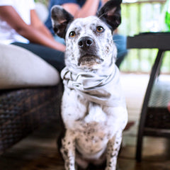 SYB Bandana