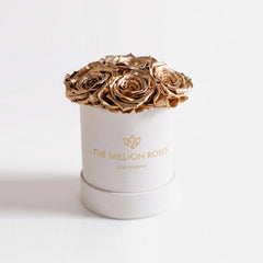 Essence Beige Suede Box | Gold Roses