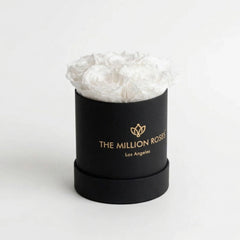 Essence Black Box | White Roses