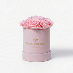 Essence Light Pink Suede Box | Light Pink Roses