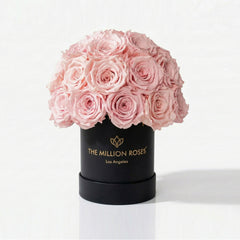 Essence Black Superdome Box | Light Pink Roses