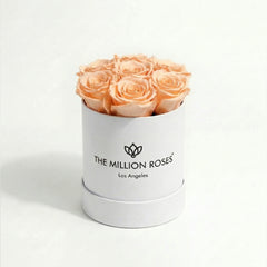 Essence White Box | Peach Roses