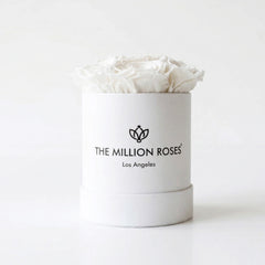 Essence White Box | White Roses