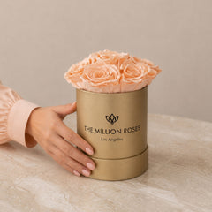 Essence Gold Box | Peach Roses