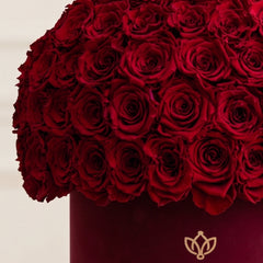 Classic Bordeaux Suede Superdome Box | Red Roses